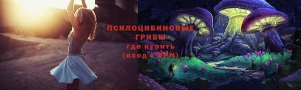 хмурый Абаза