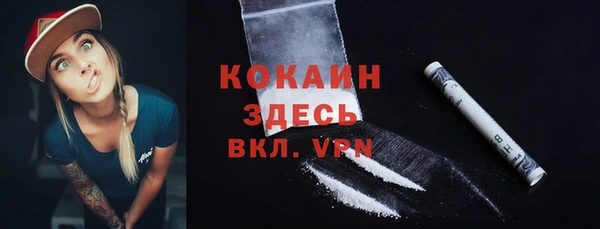 хмурый Абаза