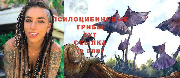 хмурый Абаза