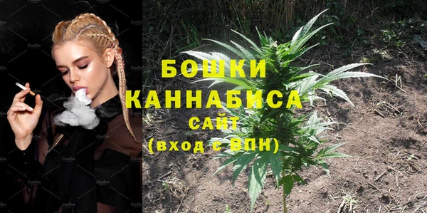 хмурый Абаза
