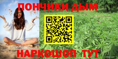 гашик Ливны
