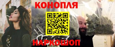 гашик Ливны